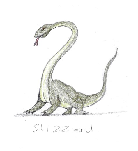 slizzard – Defining Anything.